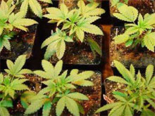 Фото новости