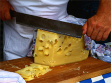 Фото новости