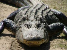 Фото новости