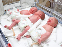 Фото новости