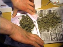 Фото новости