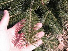 Фото новости