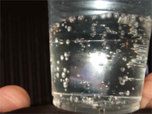 Фото новости